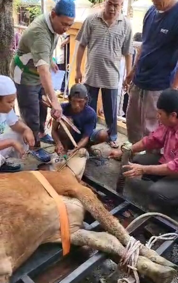 Dr.H.Rahidin H.Anang, MS Dan Keluarga  Berqurban Di Masjid Al-Ikhlas Talang Aman