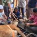 Dr.H.Rahidin H.Anang, MS Dan Keluarga  Berqurban Di Masjid Al-Ikhlas Talang Aman