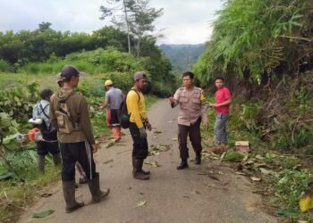 Bhabinkamtibmas Polres Tanggamus Bersama Warga Bersihkan Rumput di Jalan Raya