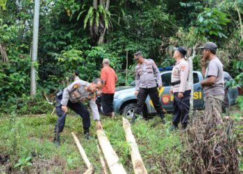 Tim Gabungan Polres Tanggamus Didampingi Warga Tinjau Area Masuknya Kawanan Gajah Liar