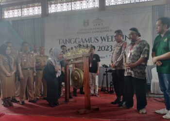 Bupati Tanggamus Membuka Penggelaran Wedding Expo 
