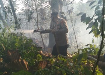 Polsek Pulau Panggung Bersama Tim Berjibaku Padamkan Kebakaran Lahan