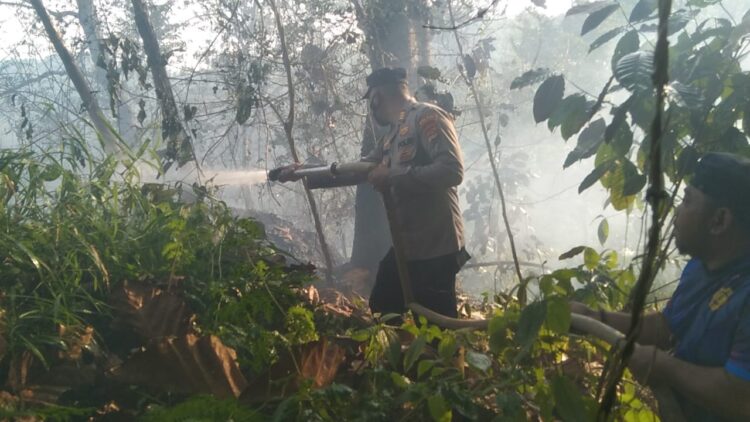 Polsek Pulau Panggung Bersama Tim Berjibaku Padamkan Kebakaran Lahan
