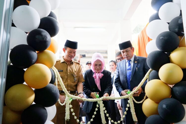 Peresmian Layanan Cathlab RSUD Palembang Bari