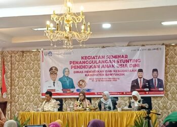 Sosialisasi Seminar Penanggulangan Stunting Pendidikan Anak Usia Dini Kabupaten Banyuasin 2023