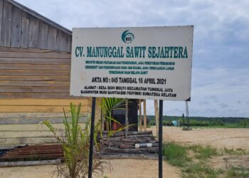 CV. Manunggal Sawit Sejahtera sebagai Penangkaran Bibit Kelapa Sawit sukses menyediakan bibit untuk kebutuhan replanting seluas 2.728 ha