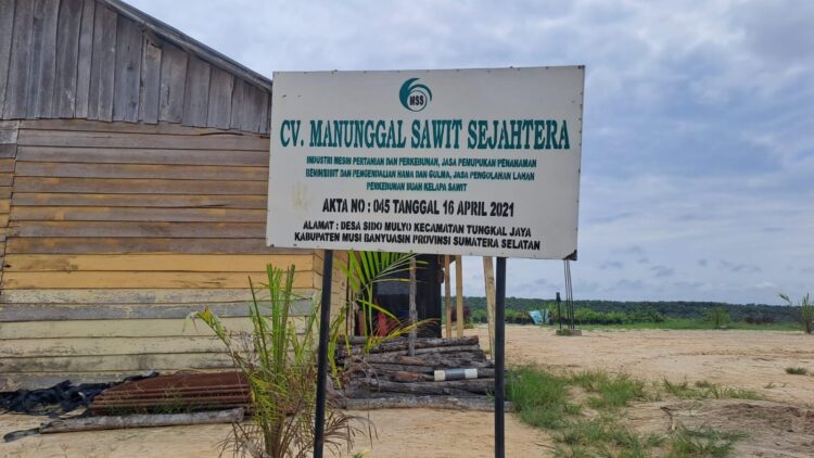 CV. Manunggal Sawit Sejahtera sebagai Penangkaran Bibit Kelapa Sawit sukses menyediakan bibit untuk kebutuhan replanting seluas 2.728 ha