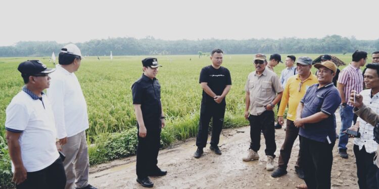 Pj.Bupati Pringsewu Tinjau Jalan Rusak di Kecamatan Banyumas