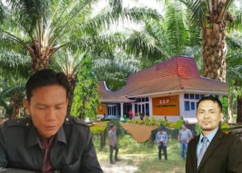 Curigai Bermain Opini Dalam Konflik PT. DDP Vs Oknum Petani Di Mukomuko, NGO Bengkulu Bentuk TIM Pencari Fakta