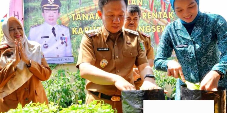 Pemkab Pringsewu Adakan Gerakan Serentak Menanam Cabai 