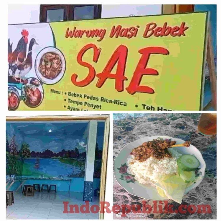 Bebek Peddas SAE Tempat Kuliner Dan Konkow Suasana Alam Yang Sejuk Di Tambelangan