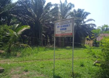 Miris Sudah Sekian Lama Kabel Listrik PLN Menjuntai Mengancam Keselamatan Warga