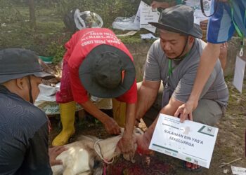 Kegiatan Pemotongan Hewan Qurban Di Masjid Al-Kahfi
