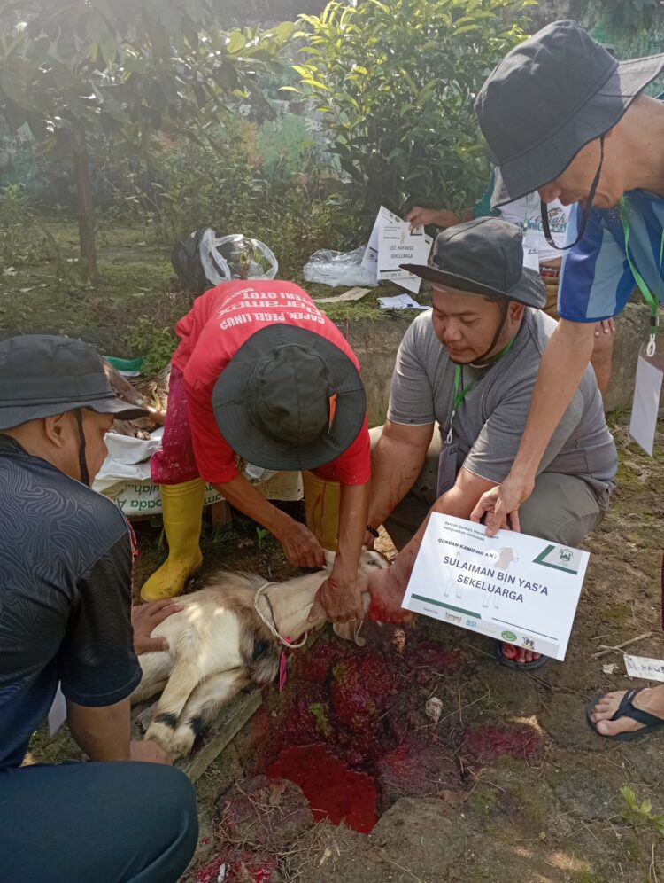 Kegiatan Pemotongan Hewan Qurban Di Masjid Al-Kahfi