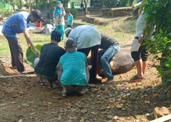 SMA Negeri 11 Palembang Melaksanakan Pemotongan Hewan Qurban Di Sekolah