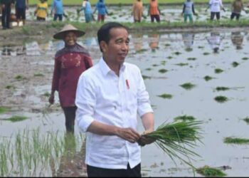 Presiden Jokowi Berikan Bantuan Pompa Air Untuk Petani Tadah Hujan Diseragi