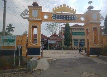 Pelayanan UPT Puskesmas Panutan ,Pringsewu Sudah Maksimal