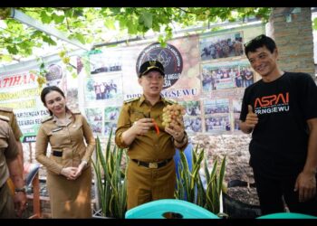 Penjabat Bupati Pringsewu Dr. Marindo Kurniawan, S.T., M.M. Kunjungi Penggiat Budidaya Anggur di Kecamatan Ambarawa