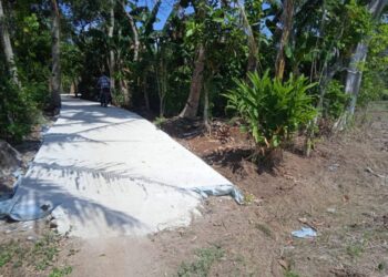 Diduga Proyek PUPR Pringsewu Pembangunan Rabat Beton Di Pasir Ukir Tanpa plang papan Nama
