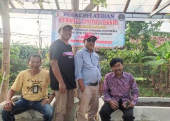 Pekon selapan Di Kecamatan Pardasuka,Pringsewu kepekon kereatip Buat Wisata Petik Buah Anggur