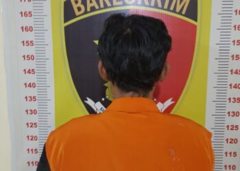 Curi Getah Karet di Lampung Selatan: Pelaku Diamankan dengan Barang Bukti