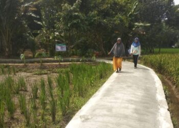 RIdho Mulyadi Anggarkan Dana Desa Tahap II Untuk Pembangunan TPT Dan Rambat Beton Di KP Muara