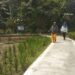 RIdho Mulyadi Anggarkan Dana Desa Tahap II Untuk Pembangunan TPT Dan Rambat Beton Di KP Muara