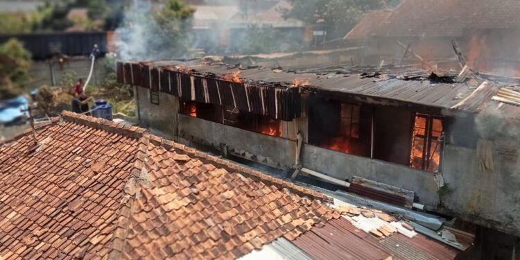Sijago Merah Mengamuk Di Siang Bolong 