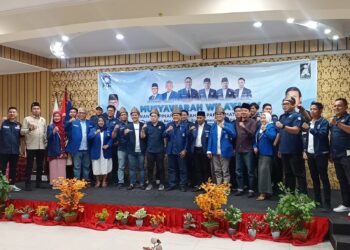 Musyawarah Wilayah V , Dewan Pimpinan Wilayah BM PAN Sumatera Selatan