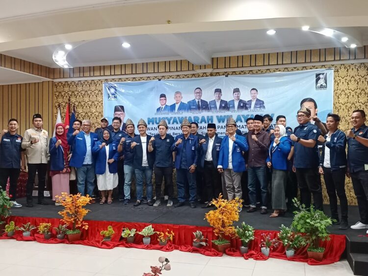 Musyawarah Wilayah V , Dewan Pimpinan Wilayah BM PAN Sumatera Selatan