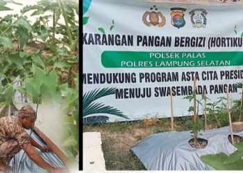 Polsek Palas Mendukung  program Presiden Manpaatkan Pekarangan untuk Ketahanan Pangan