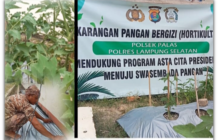 Polsek Palas Mendukung program Presiden Manpaatkan Pekarangan untuk Ketahanan Pangan