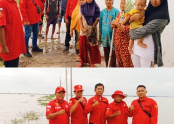 Ormas PETIR DPC Palas  Tinjau Lokasi Tanaman Padi Terdampak Banjir