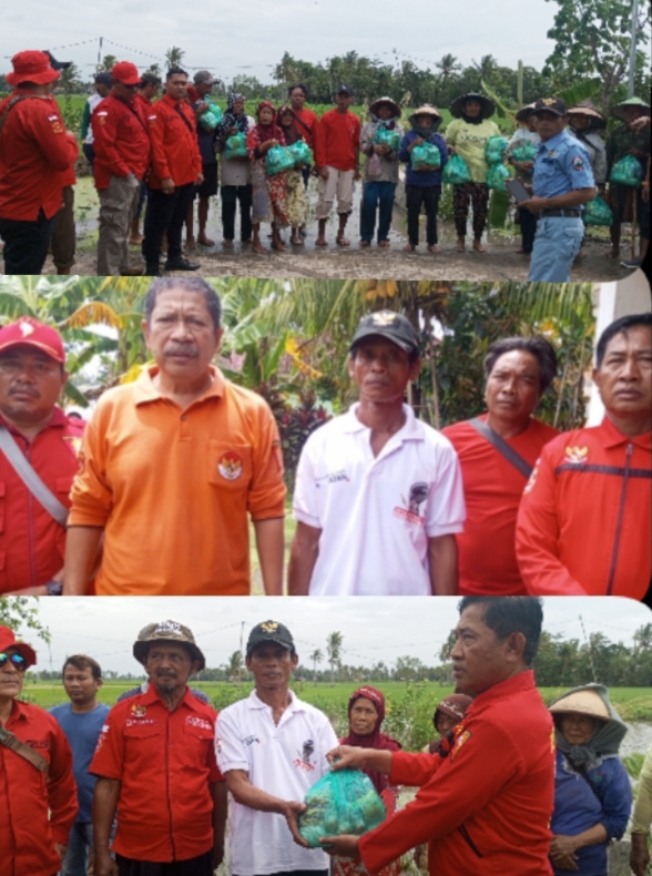 Aksi Kemanusiaan Ormas PETIR Lampung Selatan Salurkan Bantuan Kepada Korban Banjir di Desa Pulau Tengah Palas