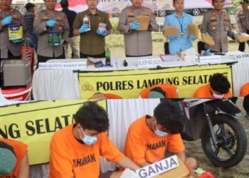 Polres Lampung Selatan Gagalkan Penyelundupan 16 Kg Ganja, Dua Tersangka Ditangkap
