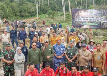 Penanaman Pohon Serentak Di Seluruh indonesia. Sumatera Selatan Melaksanakan Di KHDTK Kemampo