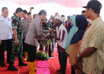 Penanaman Jagung Serentak Satu Juta Hektar Lahan Perkebunan Guna Mendukung Swasembada Pangan Tahun 2025