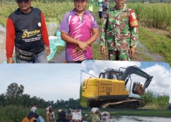 Gerak cepat,Pemdes Bali Agung Turunkan Alat Berat Bersama Masyarakat Timbun Tanggul Yang Limpas