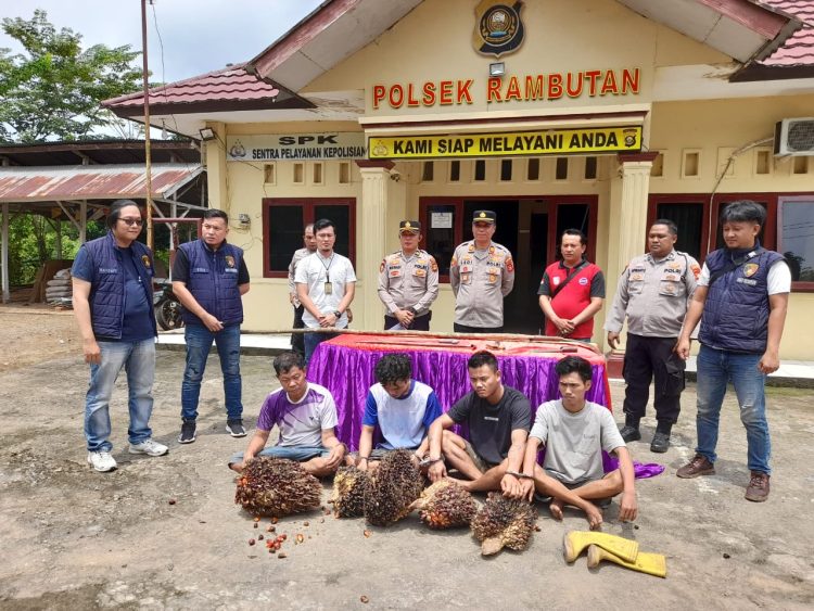 Pelaku 4 Orang Pencuri Sawit Ditangkap Oleh Polsek Rambutan, Terancam Hukuman 7 Tahun Penjara