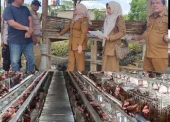 Pengusaha Muda Sukses Menjadi Peternak Ayam Petelur di Desa Mekar Mulya, Walau Diterpa Isu Terkait Perijinan