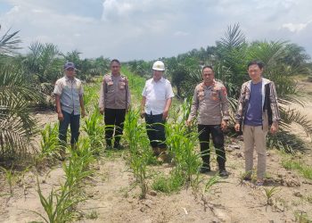 Diharapkan Dapat Tercipta Sinergi Antara Aparat Keamanan Dan Masyarakat Dalam Menjaga Stabilitas Pangan