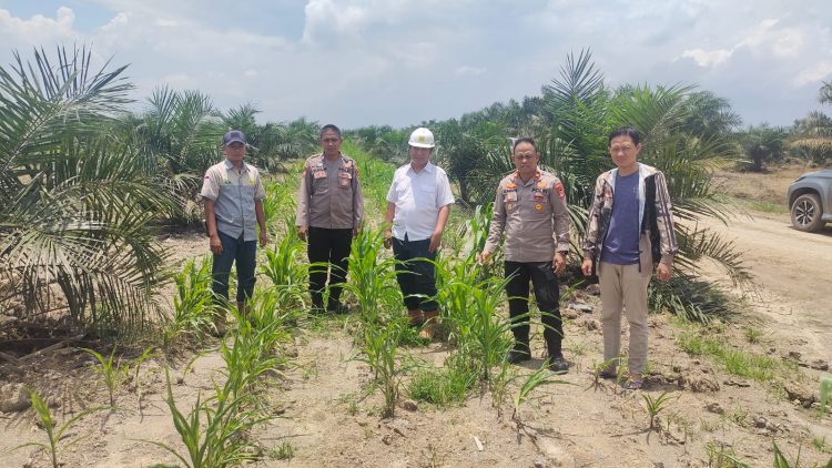 Diharapkan Dapat Tercipta Sinergi Antara Aparat Keamanan Dan Masyarakat Dalam Menjaga Stabilitas Pangan