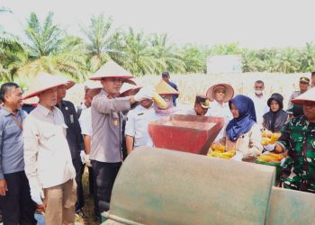 Polres Banyuasin Sukses Panen Jagung Perdana, Dukung Program Swasembada Pangan Nasional