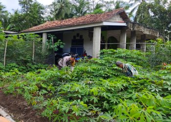 Dorong Masyarakat Manfaatkan Lahan Pekarangan Rumah