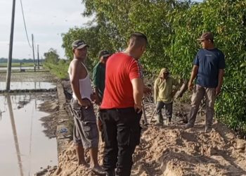 Antusias warga Masyarakat Timbun Tanggul  Amblas di Desa Bali Agung