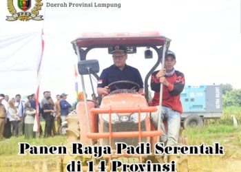 Ketua DPRD Provinsi Lampung Bersama Gubernur Lampung Hadiri Panen Raya