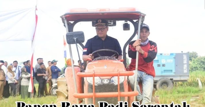Ketua DPRD Provinsi Lampung Bersama Gubernur Lampung Hadiri Panen Raya