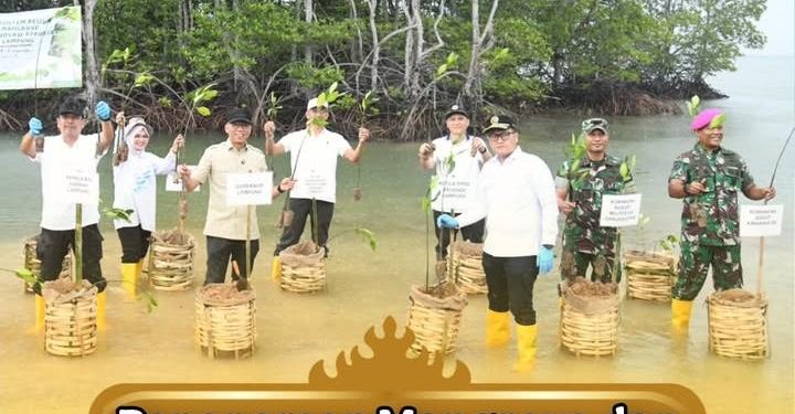 Ketua DPRD Provinsi Lampung Ikut Penanaman Mangrove Dan Pemasangan Appostrap