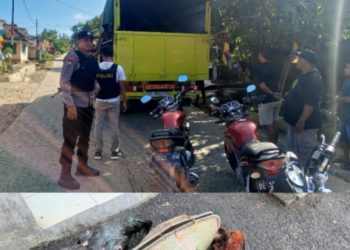 Polisi Gerebek Arena Sabung Ayam di Lampung Selatan, Puluhan Barang Bukti Diamankan