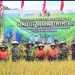Wujud Nyata Dukung Ketahanan Pangan Nasional, Prajurit Yonif 9 Marinir Laksanakan Panen Raya Padi